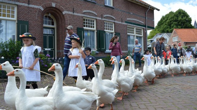 Ganzenmarkt (zondag  2 juli 2017)